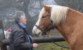 my horse